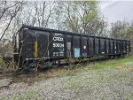 CRDX 50004